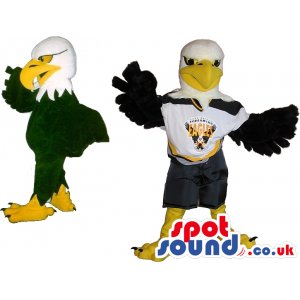 American Eagle Plush Mascot Wearing Rugby Team Clothes With
