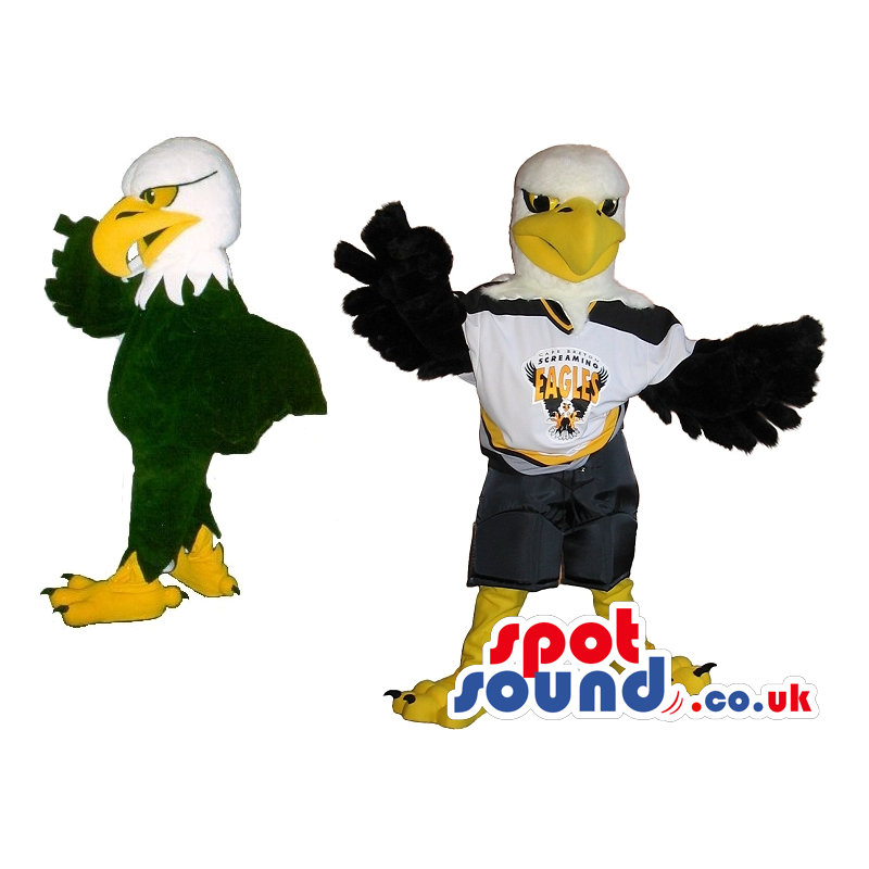 American Eagle Plush Mascot Wearing Rugby Team Clothes With