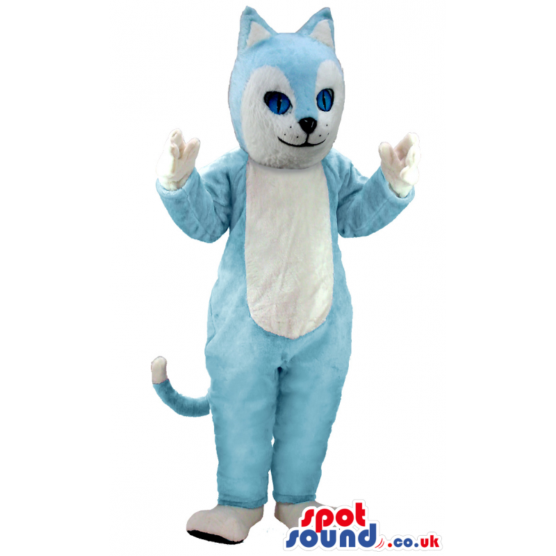 Cute looking baby blue cat mascot with white paws and