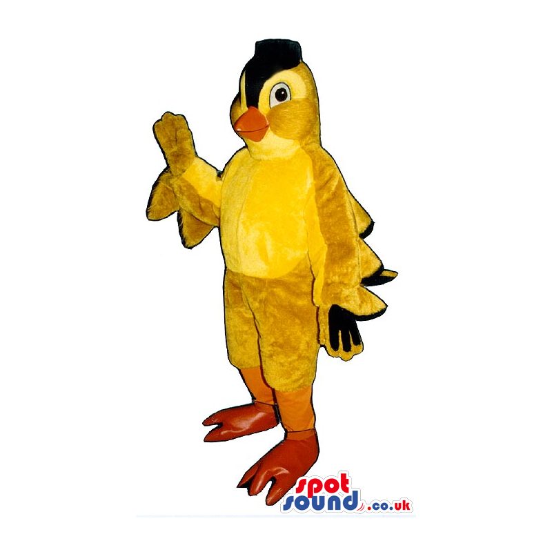 Cute Yellow Bird Mascot With A Black Head And Wings - Custom