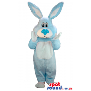 light blue cuddly rabbit with blue nose and wite underbelly -