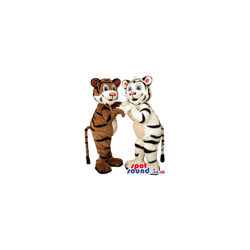 Cute Brown Or White Tiger Plush Mascot Couple With Blue Eyes -