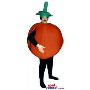 Big Red Tomato Vegetable Adult Size Costume Or Mascot - Custom