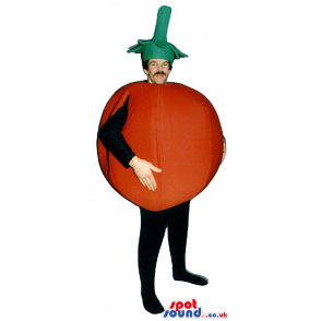 Big Red Tomato Vegetable Adult Size Costume Or Mascot - Custom