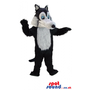 Tall standing fluffy wolf mascot with bright blue eyes