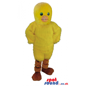 Huge yellow chick mascot with green eyes, beak and brown feet
