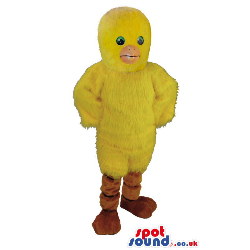 Huge yellow chick mascot with green eyes, beak and brown feet -