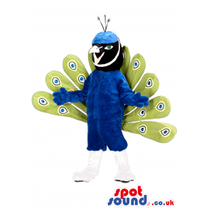 Beautiful blue peacock mascot with green and blue feathers -