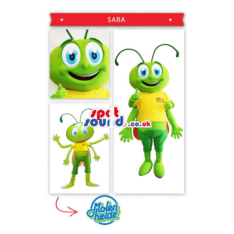 Funny Green Insect With Yellow T-Shirt And Logo Mascot - Custom