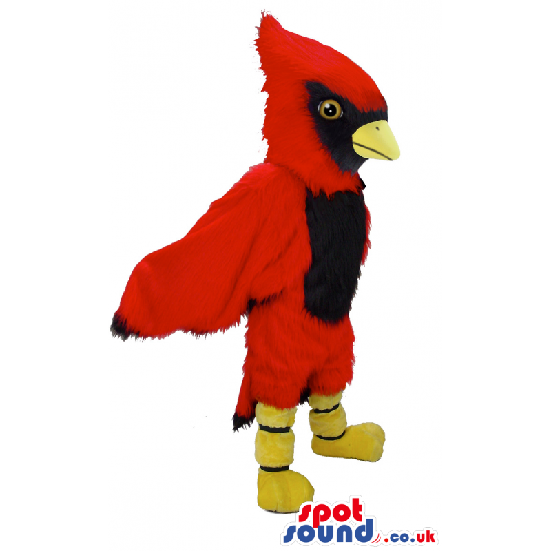 Red fluffy jay bird mascot with yellow beak, feet and brown