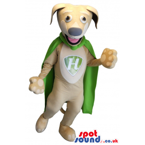 Beige Super Hero Dog With Green Cape And A Letter - Custom