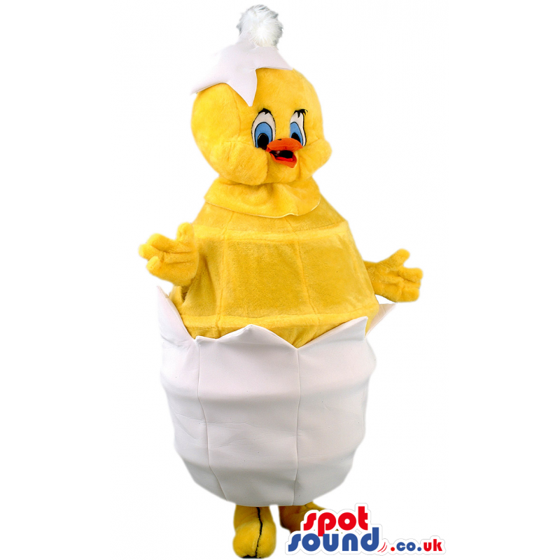 Hatched egg mascot showing yellow chick with orange beak -