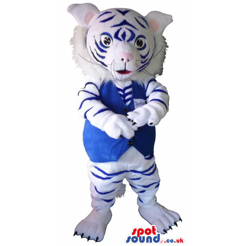 White Tiger With Blue Stripes Wearing A Blue Vest - Custom