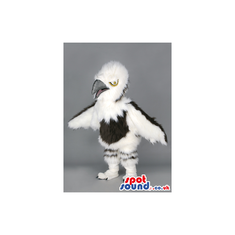 Fluffy menacing white and black eagle with silver beak - Custom