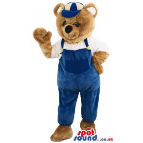 Bear mascot in blue jumper with blue cap and in white t-shirt -