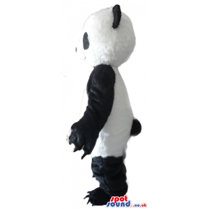 Traditional black and white panda bear mascot with long