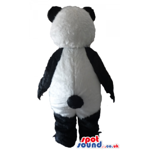 Traditional black and white panda bear mascot with long