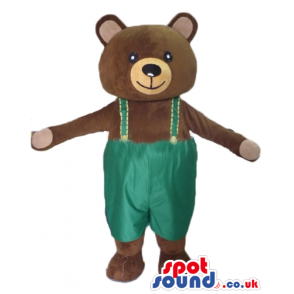 Smiling brown teddy bear with details in beige wearing green