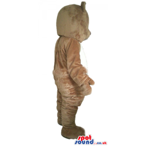 Brown bear with white belly - Custom Mascots