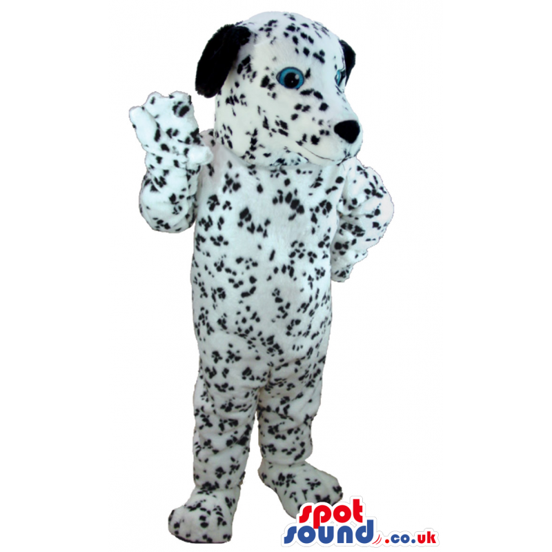 Cuddly and soft dalmatian mascot with black nose and ears -