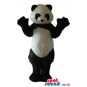 Huge panda bear - your mascot in a box! - Custom Mascots