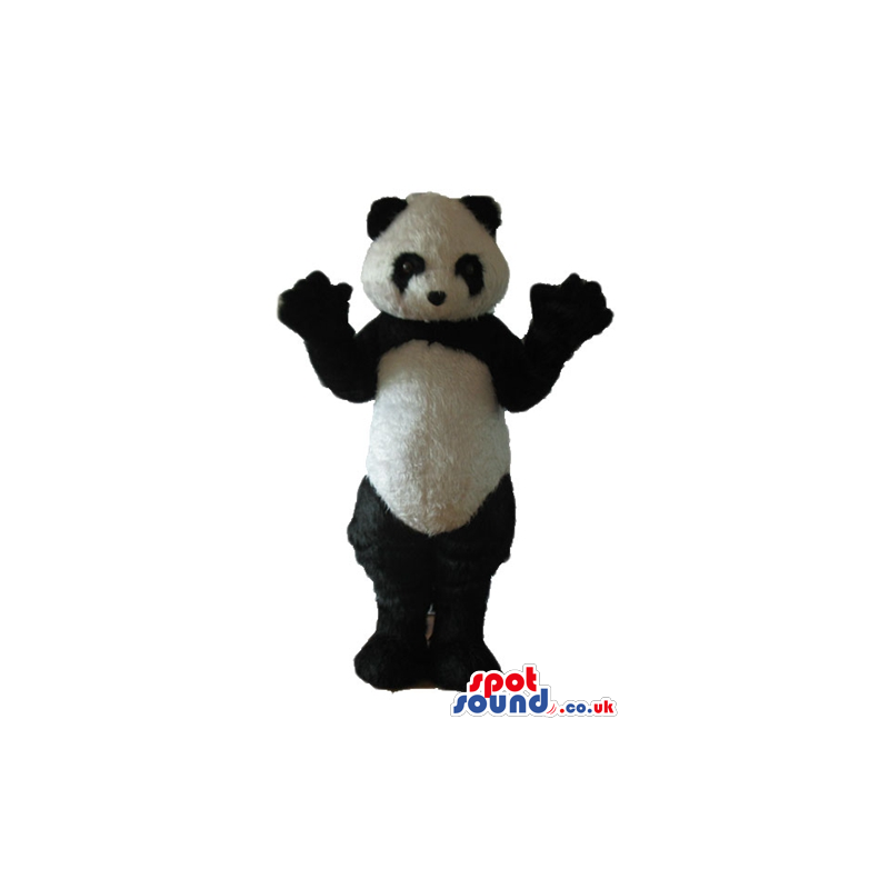 Huge panda bear - your mascot in a box! - Custom Mascots