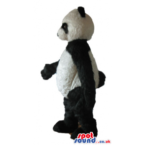 Huge panda bear - your mascot in a box! - Custom Mascots