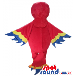 Red parrot with large eyes and large yellow beak with blue and