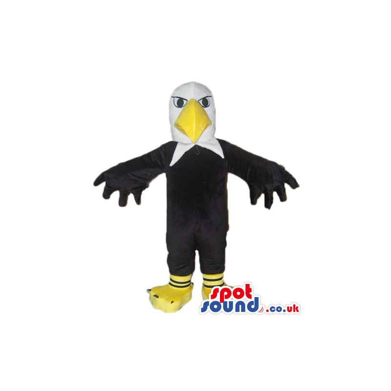 Angry black eagle with white head, large yellow beak and big