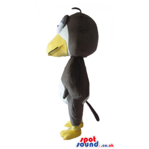 Black bird with white big head, big yellow beak, big eyes and a
