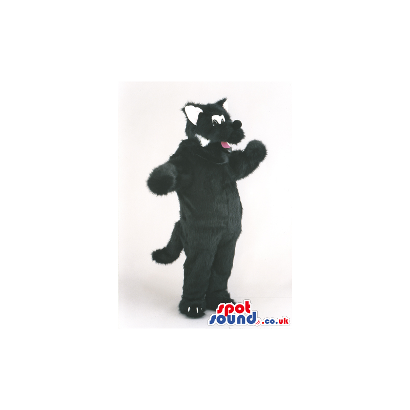 Plush cat mascot costume in a black with long tail - Custom