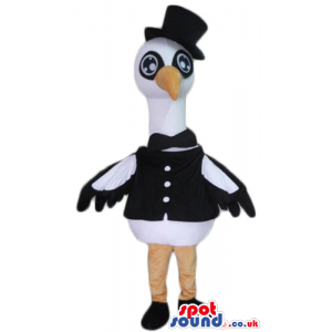 Elegantly dressed white and black bird with a long orange beak