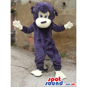 Teddy mascot in purple colour with mittens and foot covers -