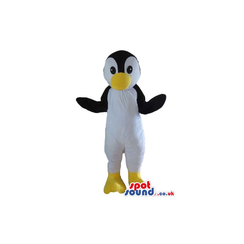 Black and white penguin with big yellow beak and yellow feet -