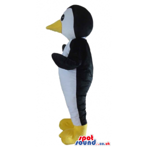 Black and white penguin with big yellow beak and yellow feet -
