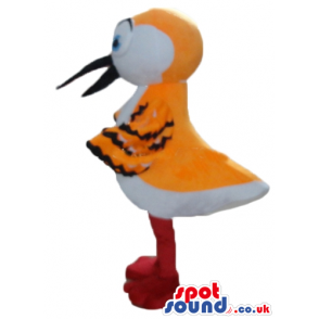 White and orange bird with black stripes, red legs, black beak