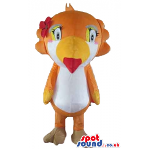 Orange and white bird with yellow eyes, yellow and red beak