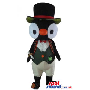 Elegant black and white penguin with big black eyes, a red beak