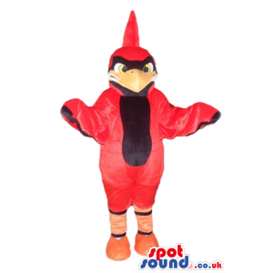 Angry red bird with prominent orange beak and black chest -