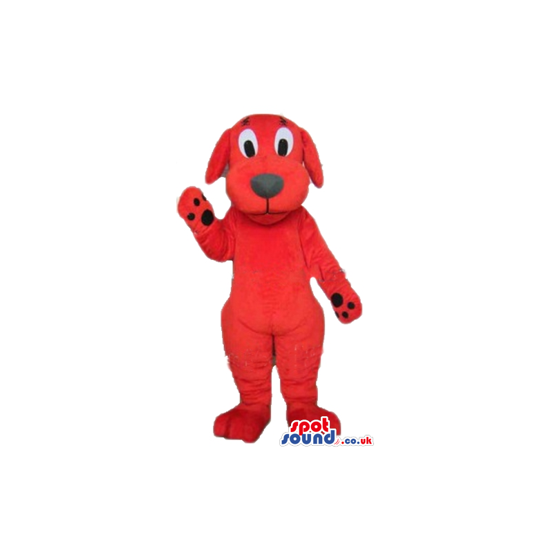 Red dog with black eyes - your mascot in a box! - Custom Mascots