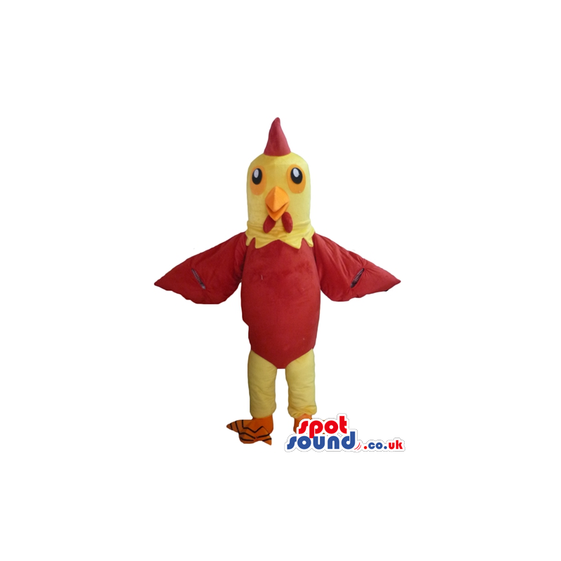 Cock with yellow head and legs, red body and orange feet -