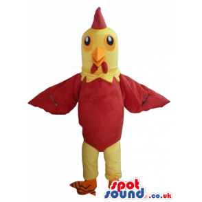 Cock with yellow head and legs, red body and orange feet -