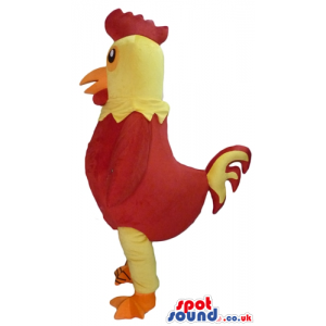 Cock with yellow head and legs, red body and orange feet -