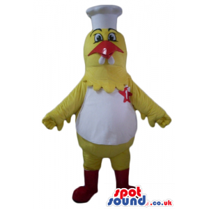 Yellow chicken with a red beak and red feet and a white belly