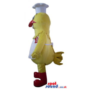 Yellow chicken with a red beak and red feet and a white belly