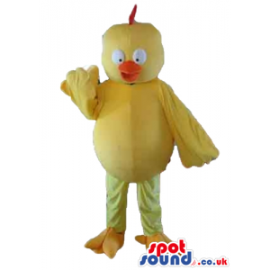 Yellow chicken with red hair and orange beak and feet - Custom