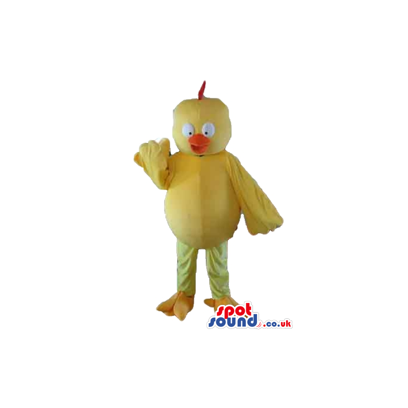 Yellow chicken with red hair and orange beak and feet - Custom