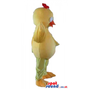 Yellow chicken with red hair and orange beak and feet - Custom
