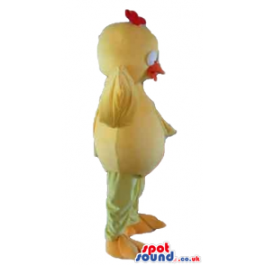 Yellow chicken with red hair and orange beak and feet - Custom