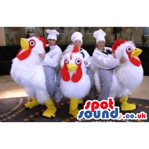 Three giant, white, fluffy chicken mascots with yellow beaks -